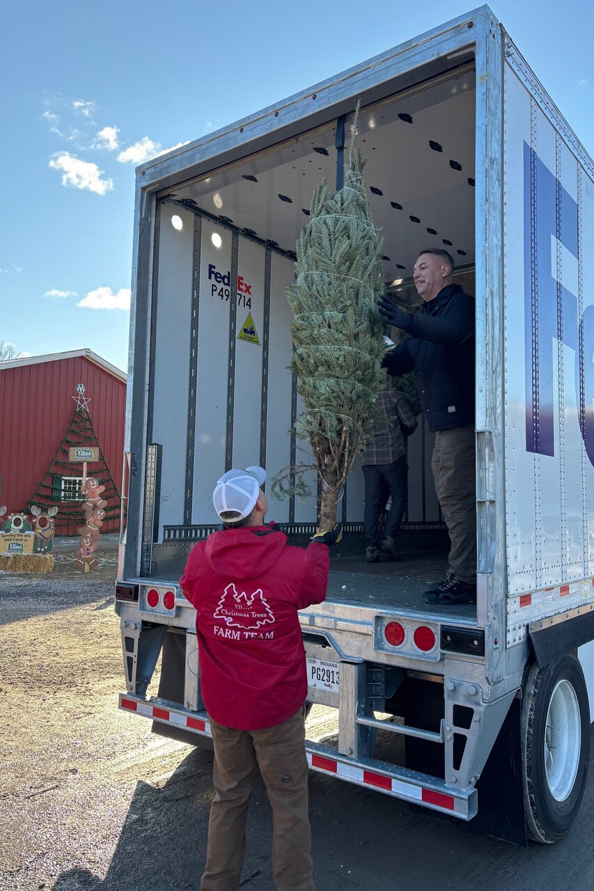 Two men unload a tree from a delivery truck.
