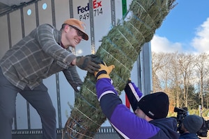 A man, standing in the back of a delivery truck, hands a tree to another man.