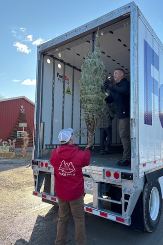 Two men unload a tree from a delivery truck.
