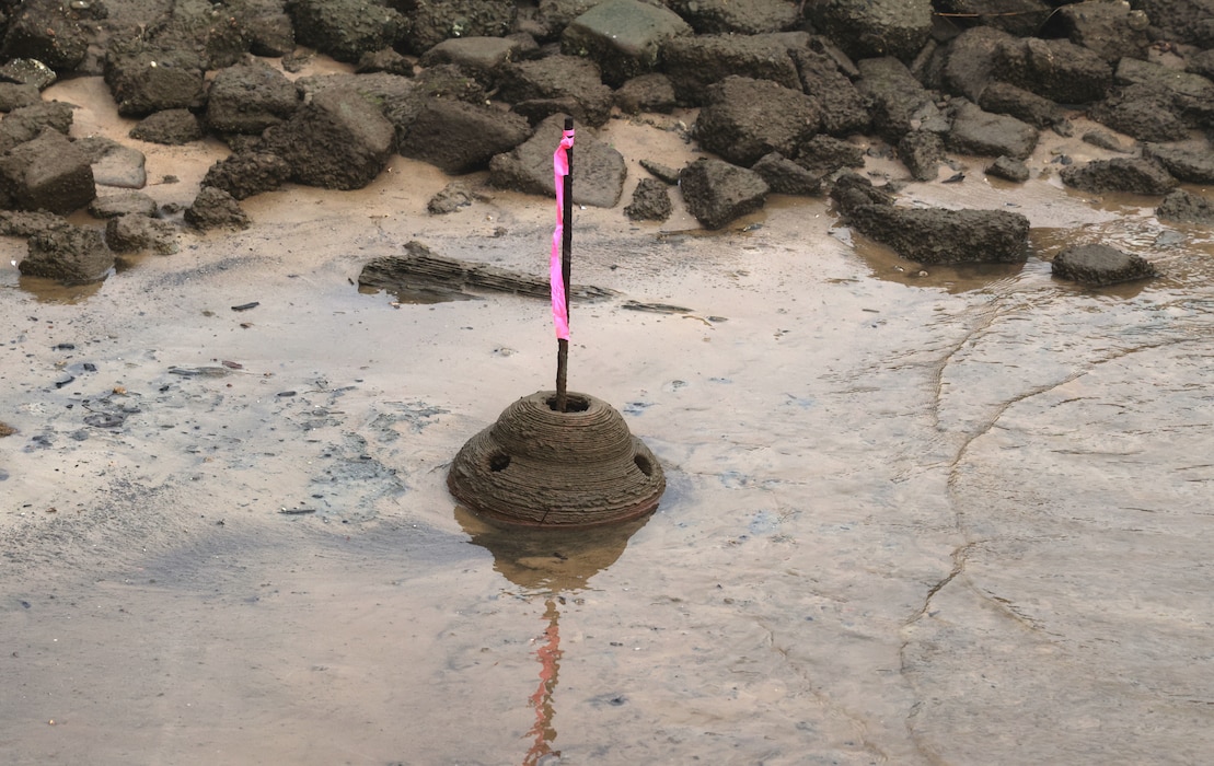 A 3-d printer oyster reef