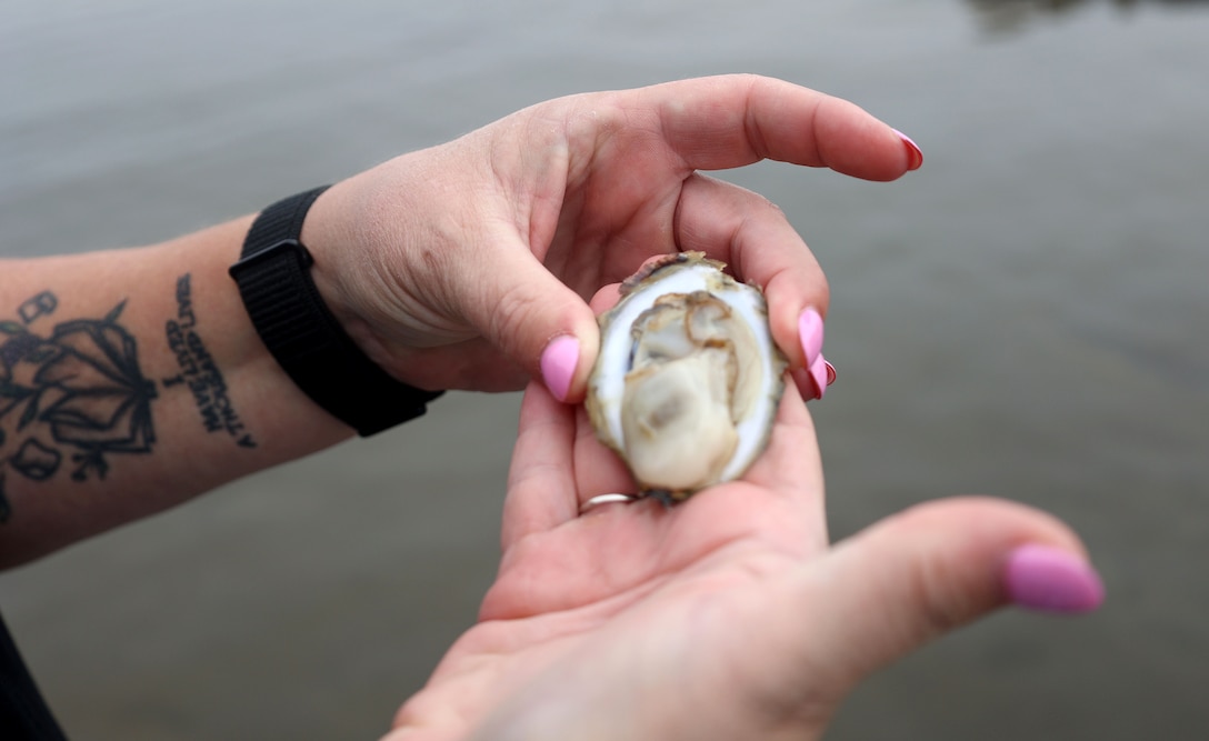 A lady holding an oyster.