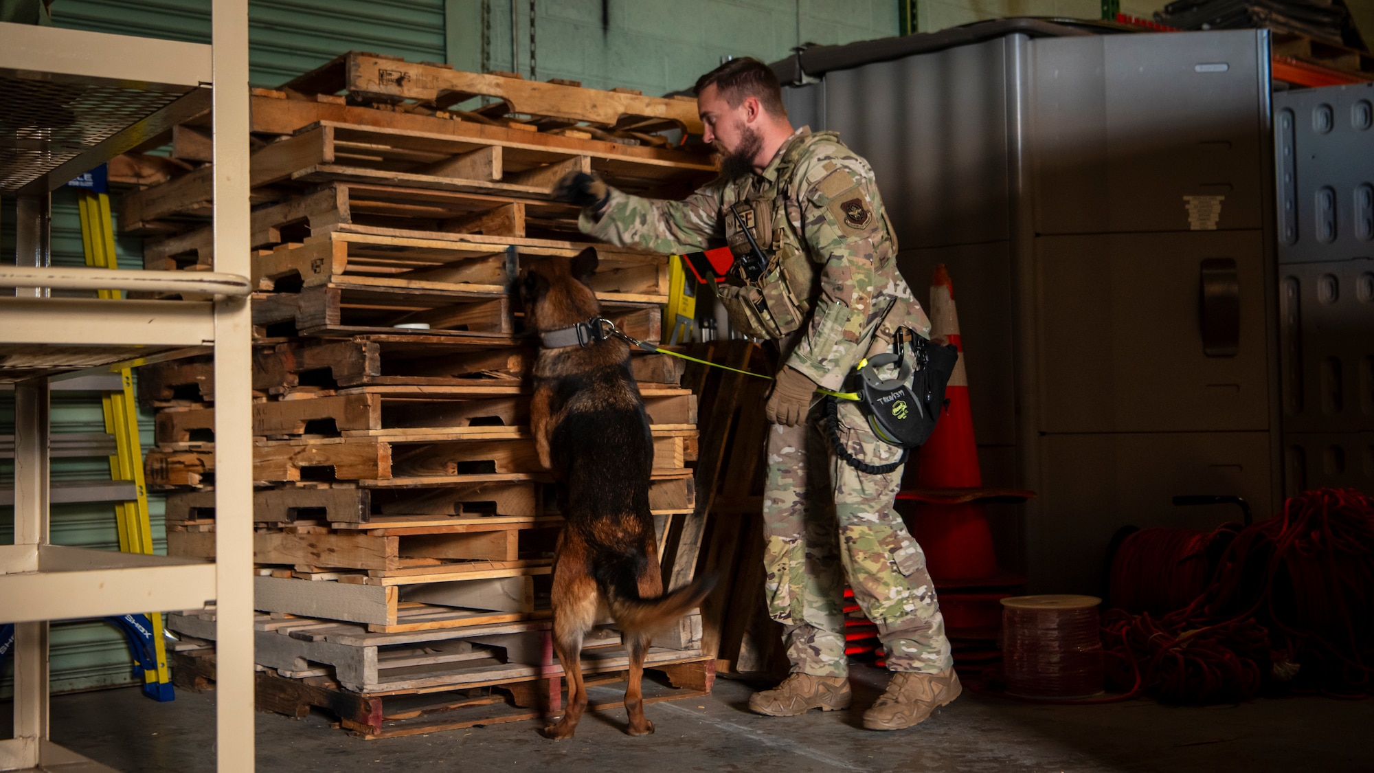 U.S. Air Force Staff Sgt. Ean Lagerstrom, 436th Security Forces Squadron military working dog handler, guides Tako, 436th SFS military working dog, while searching for potential narcotics in a training environment on Dover Air Force Base, Delaware, Oct. 15, 2025. The Joint Military Working Dog Laboratory within the Forensic Toxicology Department at the Armed Forces Medical Examiner System has already developed several iterations of a 3D printed casing, which they are calling a Narcotics Printed Protection Enclosure (NPPE), that not only offers greater protection but has the potential to expand training possibilities. These developments also help give the kennels and their handlers piece of mind, knowing that they can conduct their training without having to worry about damaging the aids inside the NPPEs. (U.S. Air Force photo by Staff Sgt. Noah D. Coger)