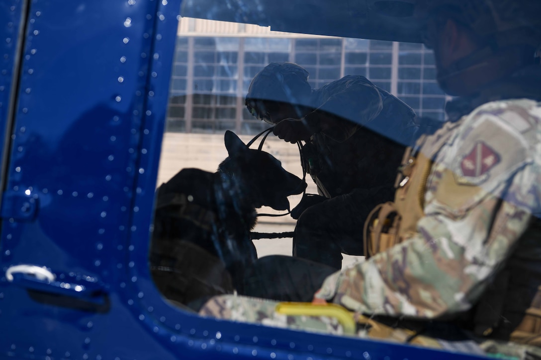 Dog in a helicopter.