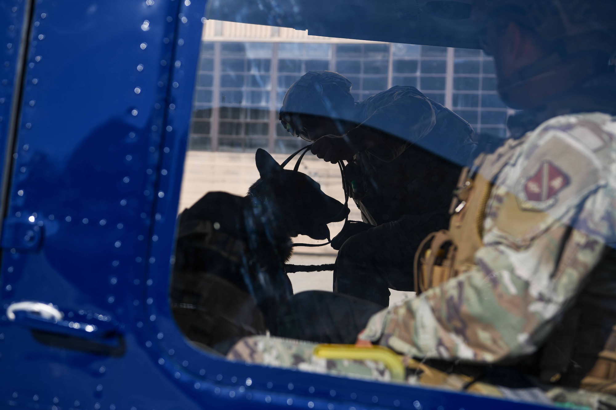 Dog in a helicopter.