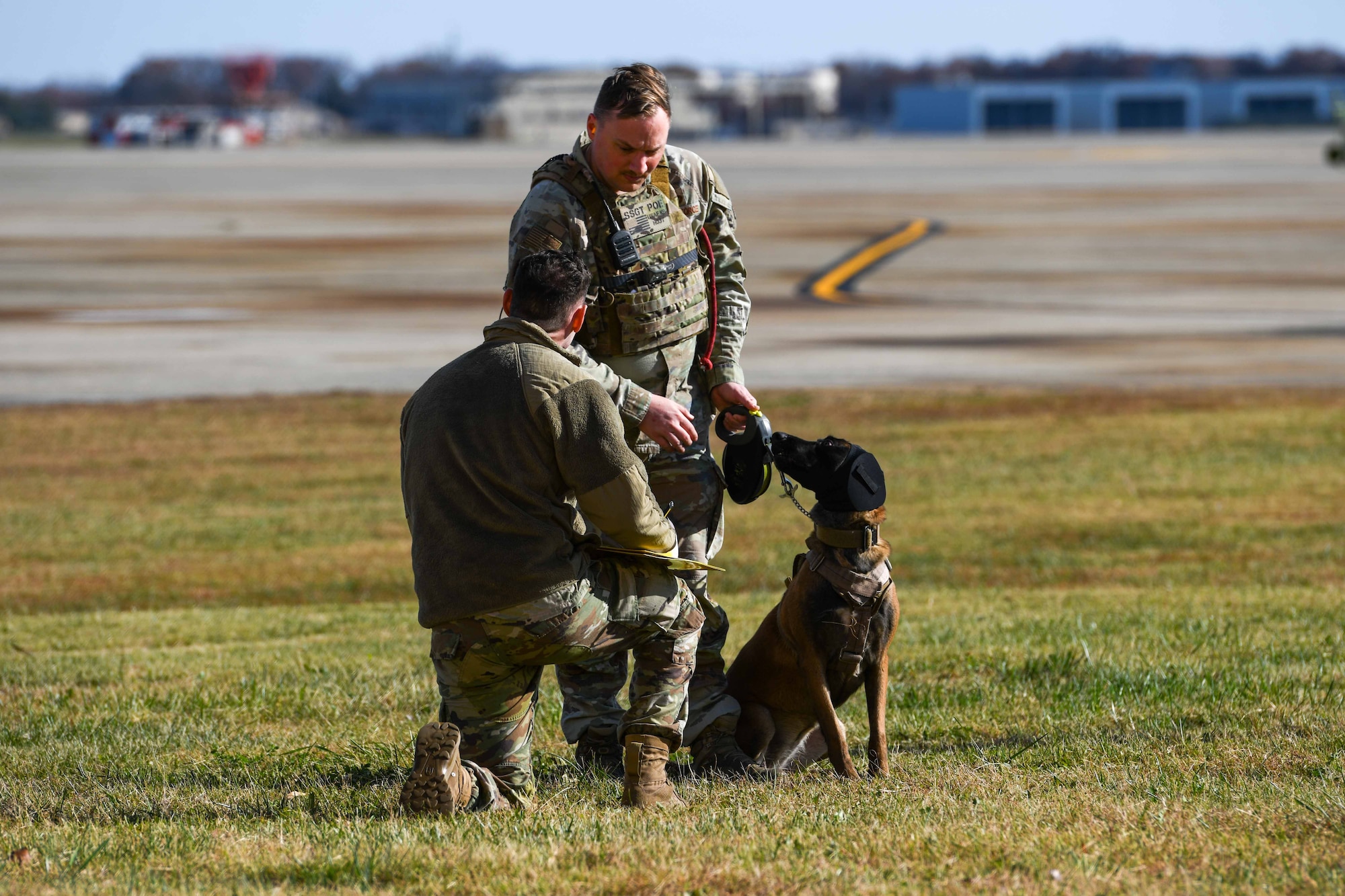 Trainers prepare a dog for aerial training.