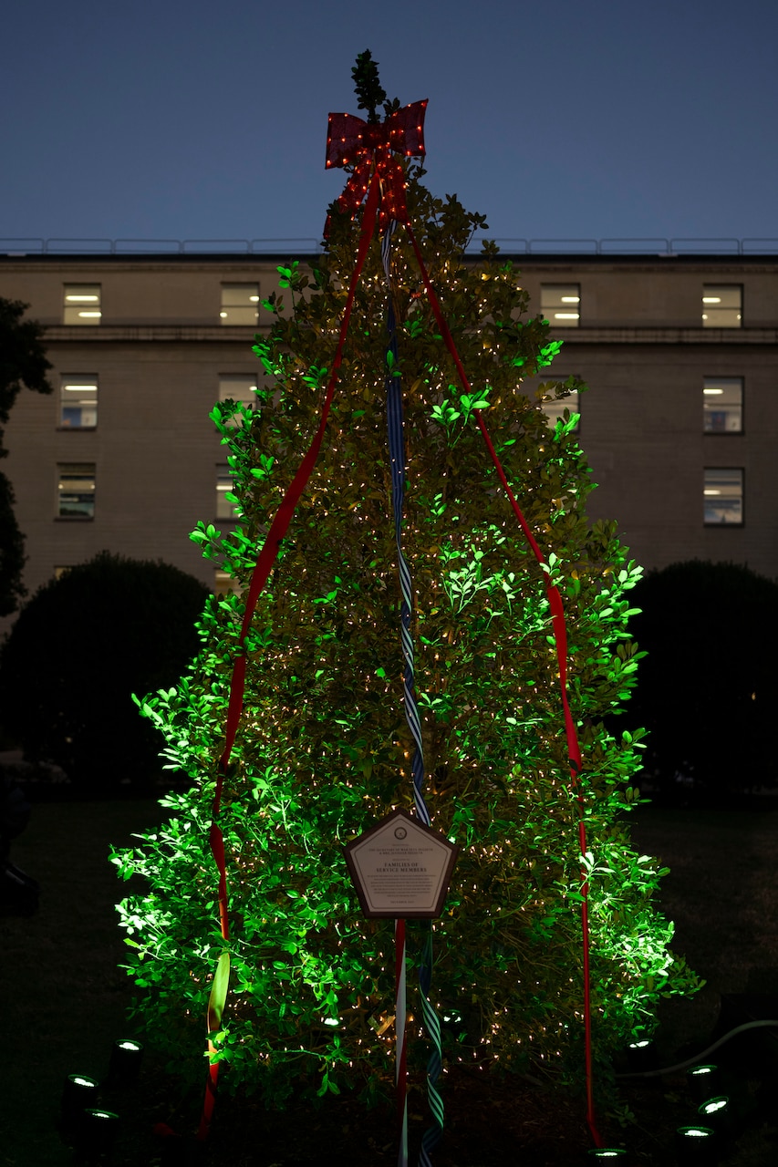 A plaque sits in front of a lit Christmas tree.