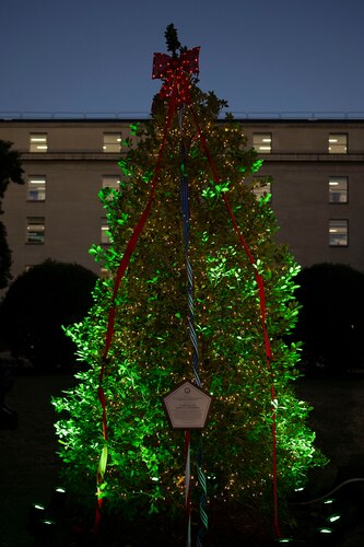 A plaque sits in front of a lit Christmas tree.