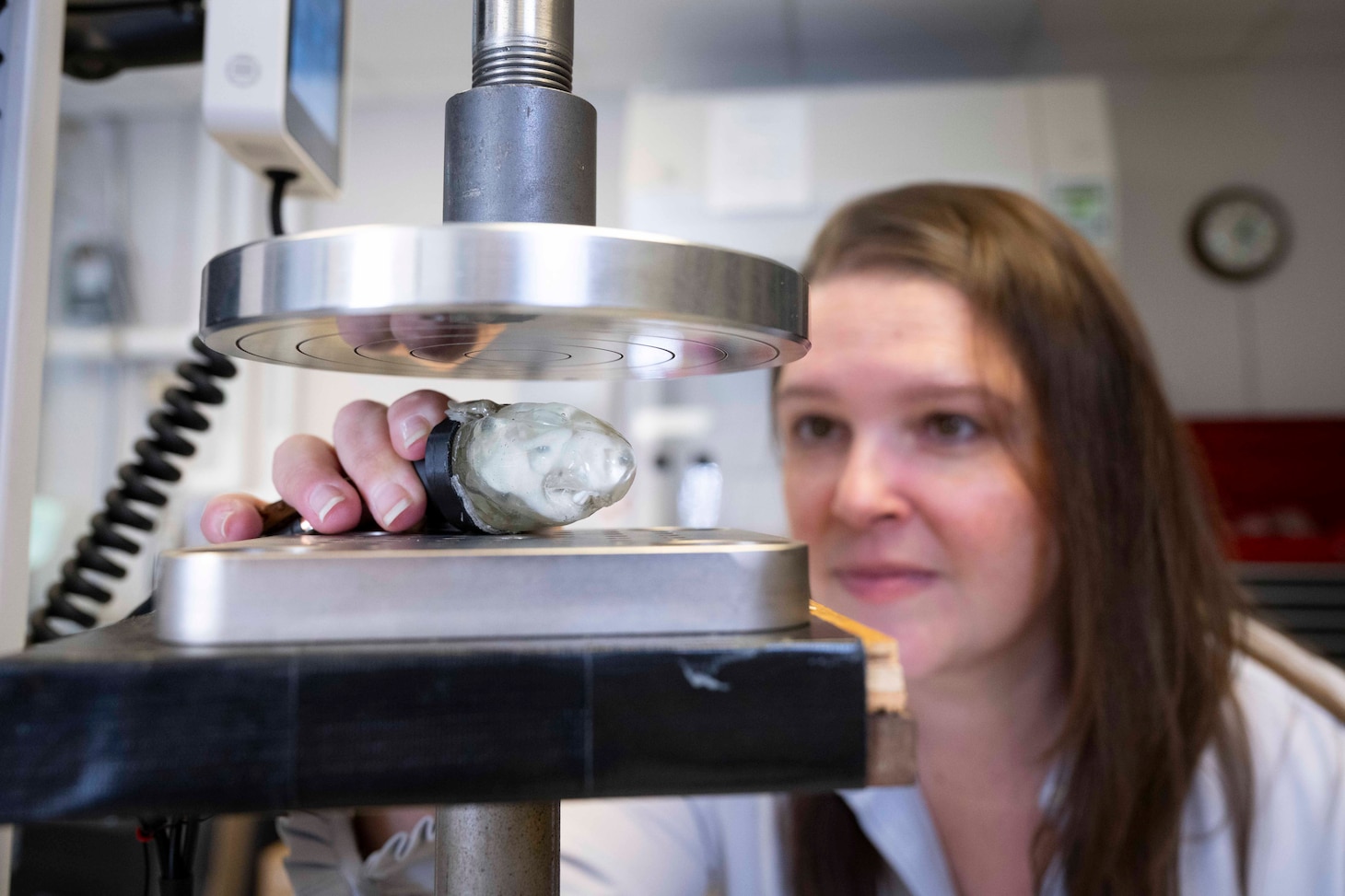 NRL scientist Margo Staruch, Ph.D., working with the University of Virginia Commonwealth, has developed the first anatomically accurate rat brain phantom capable of measuring traumatic brain injury (TBI) impacts in real time. The breakthrough model replicates the mechanical properties of brain tissue while embedding a piezoelectric sensor that converts impact forces directly into measurable electrical signals, offering unprecedented insight into how blast waves and impacts propagate through the brain. November 24, 2025, Washington D.C. (U.S. Navy Photo by Sarah Peterson)