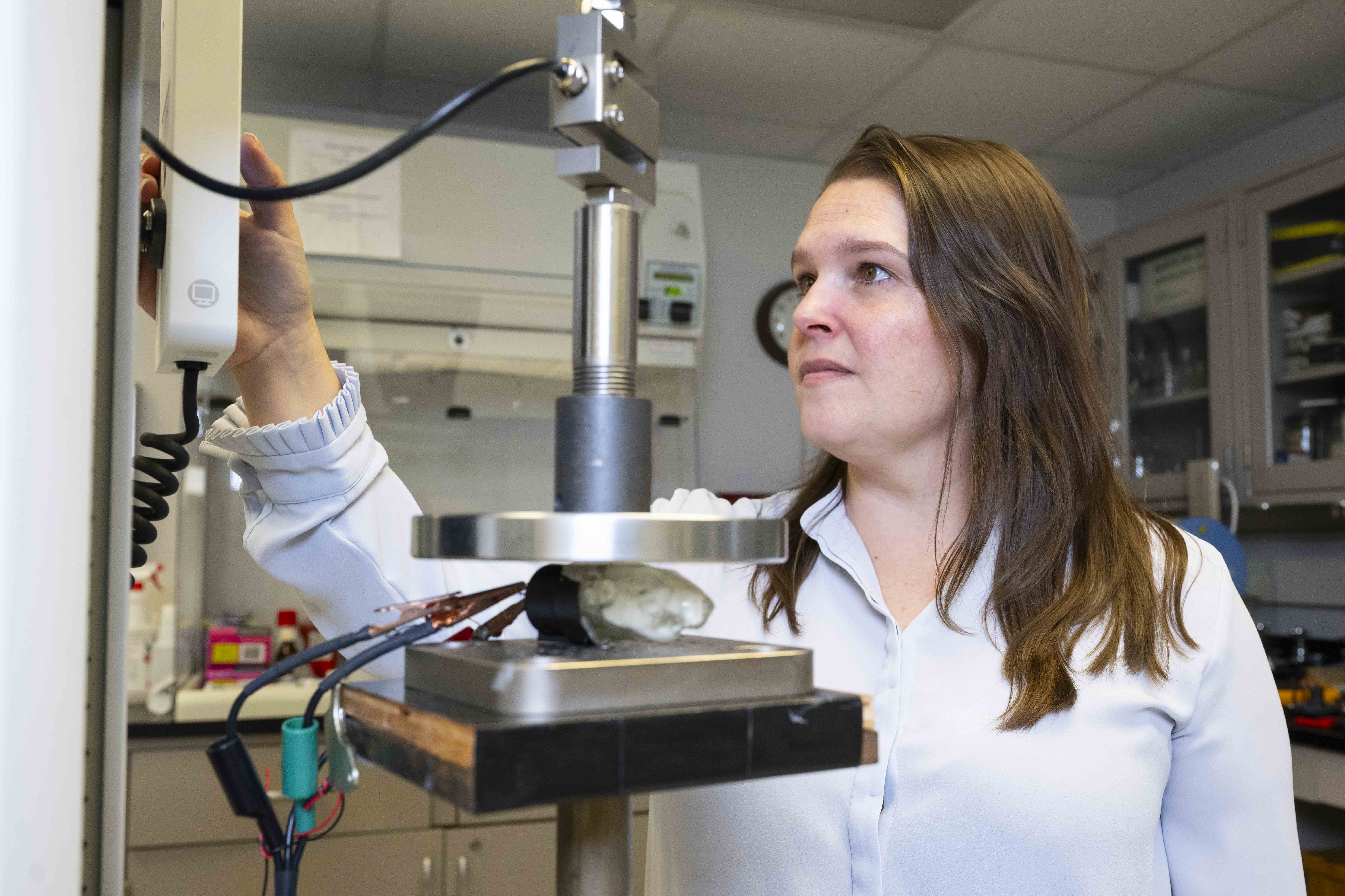 U.S. Naval Research Laboratory Develops Anatomically Accurate Rat