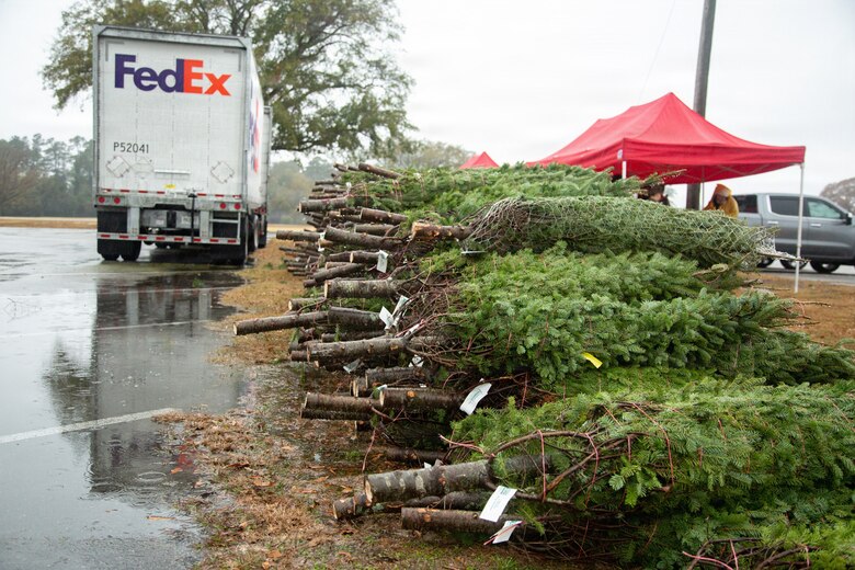 Trees for Troops 2025