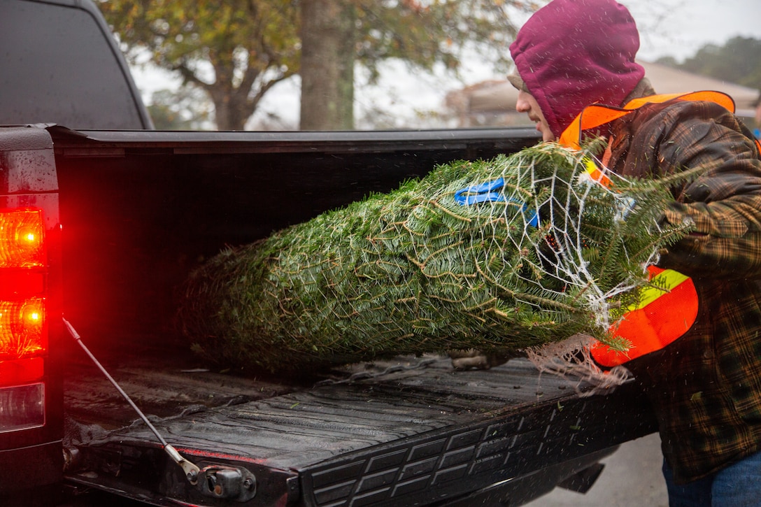 Trees for Troops 2025