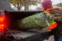 Trees for Troops 2025