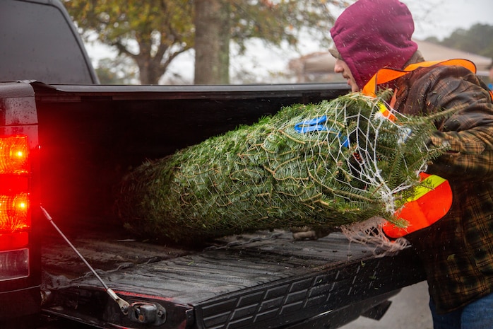 Trees for Troops 2025