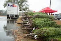 Trees for Troops 2025