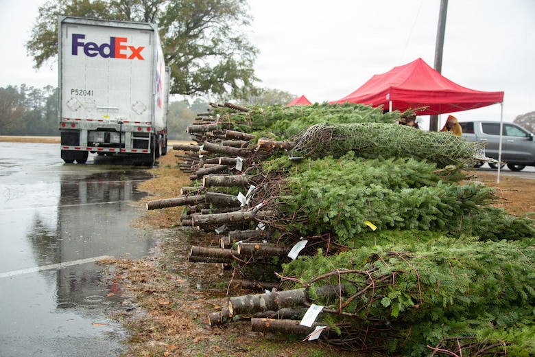Trees for Troops 2025