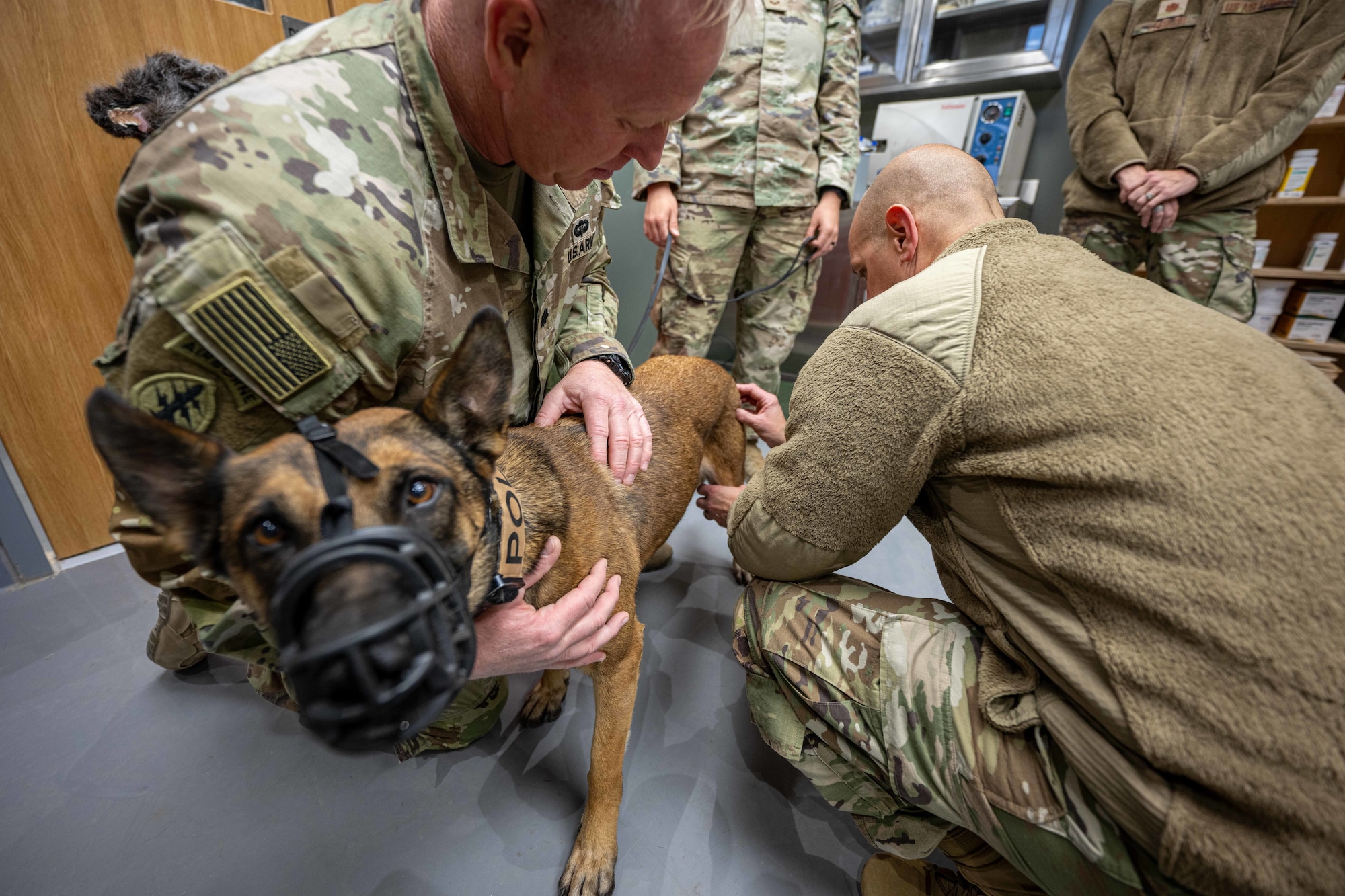 U.S. Army Lt. Col. Lance Kurz, 994th Medical Detachment veterinarian, left, shows U.S. Air Force Lt. Col. Paul Niles, 332nd Expeditionary Medical Squadron Medical Operations Flight commander, where to find a pulse on a dog in the U.S. Central Command area of responsibility Nov. 20, 2025.
