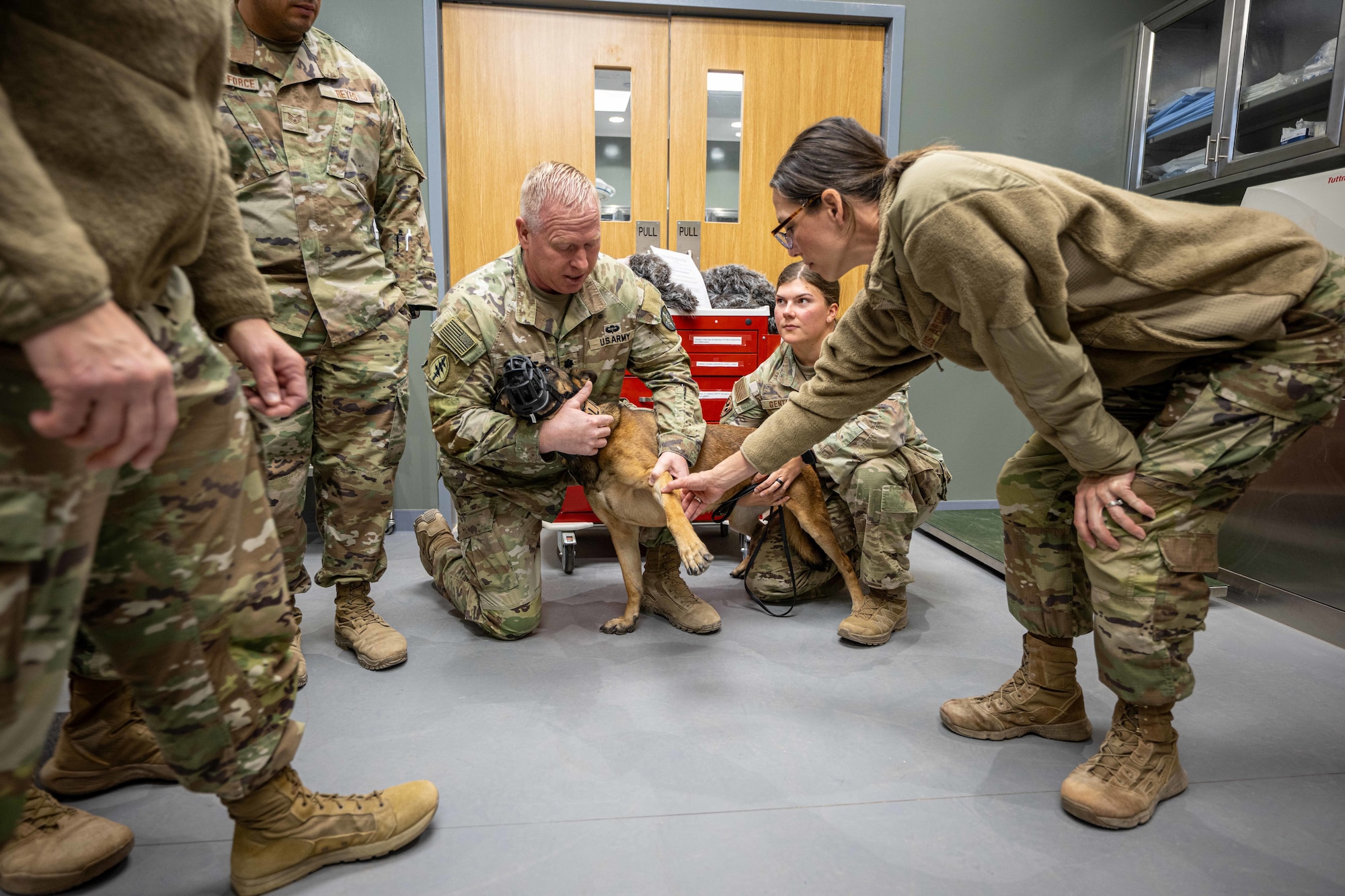 U.S. Army Lt. Col. Lance Kurz, 994th Medical Detachment veterinarian, center, shows Air Force Major Mindy LeBarr, 332nd Expeditionary Medical Squadron family nurse practitioner, right, where to insert an IV into a dog in the U.S. Central Command area of responsibility, Nov. 20, 2025.