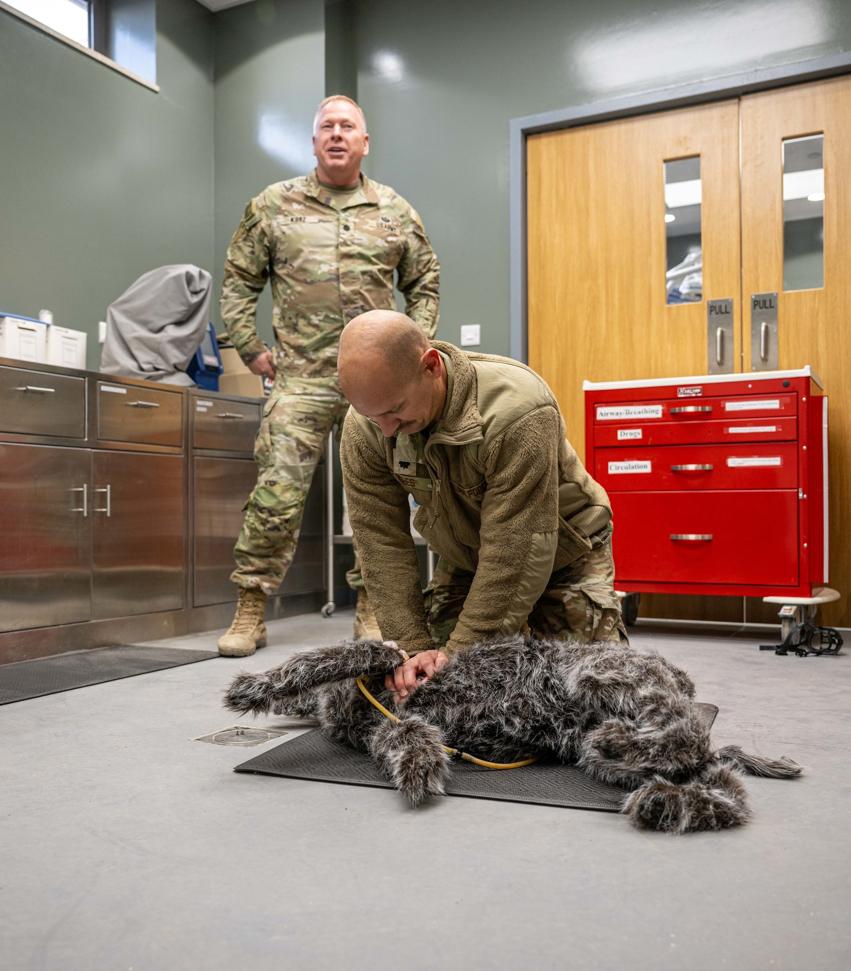 U.S. Air Force Lt. Col. Paul Niles, 332nd Expeditionary Medical Squadron Medical Operations Flight commander, performs CPR on a canine training manikin the U.S. Central Command area of responsibility, Nov. 20, 2025.