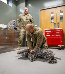 U.S. Air Force Lt. Col. Paul Niles, 332nd Expeditionary Medical Squadron Medical Operations Flight commander, performs CPR on a canine training manikin the U.S. Central Command area of responsibility, Nov. 20, 2025.