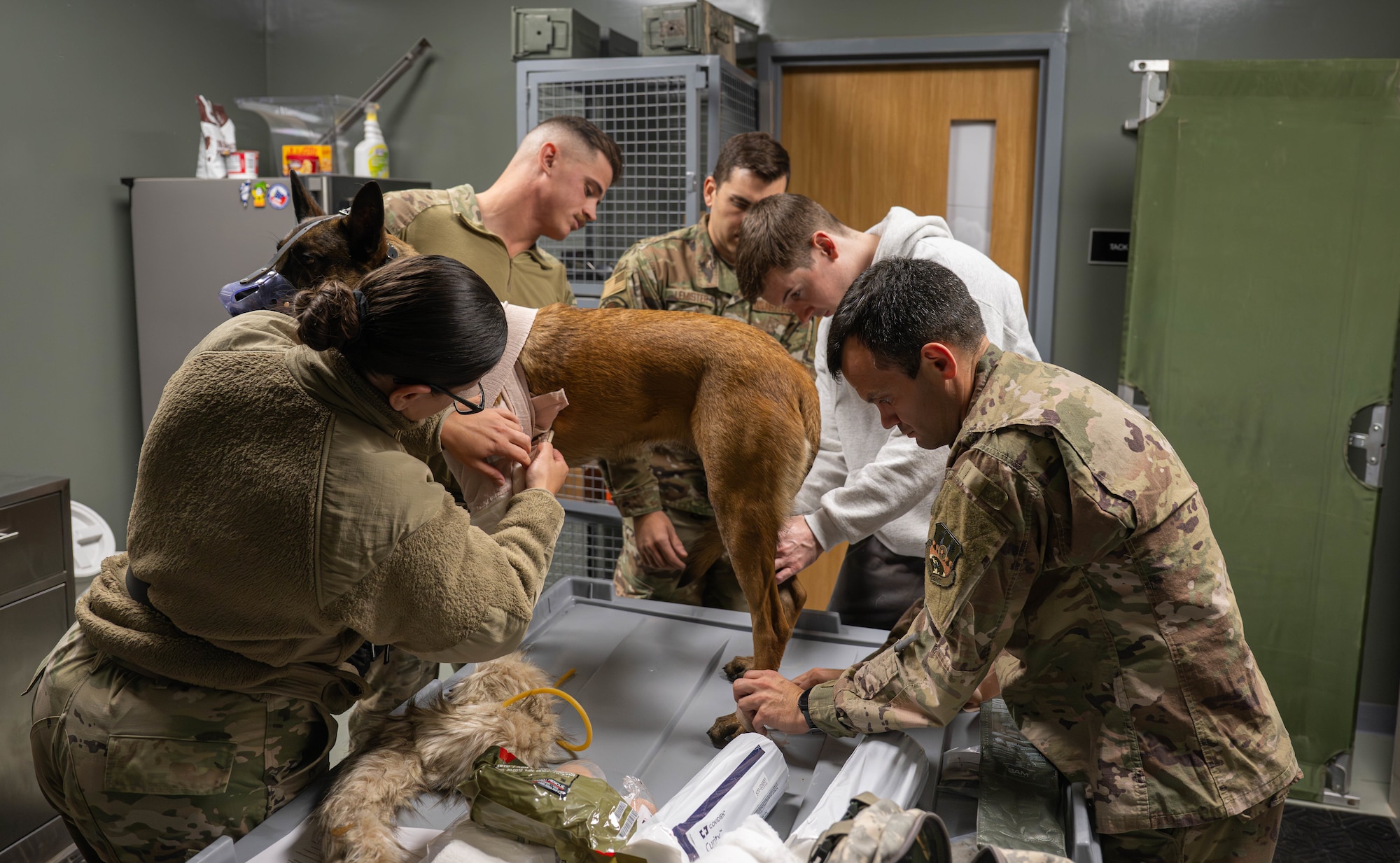 U.S. Airmen assigned to the 332nd Expeditionary Medical Squadron perform simulated Tactical Combat Casualty Care on Military Working Dog IInez in the U.S. Central Command area of responsibility, Nov. 20, 2025.