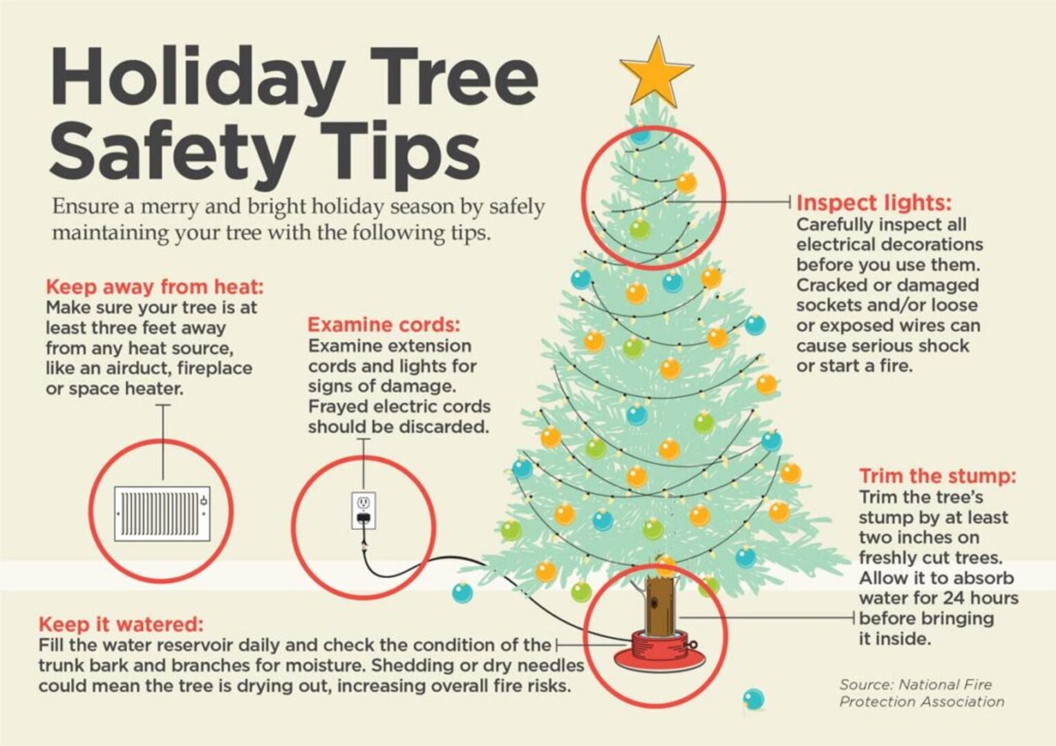 Don’t get burned by your Christmas tree