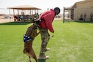 U.S. Air Force Chief Master Sgt. Nicholas Jackson, 332nd Expeditionary Air Base Group senior enlisted leader, turns away from military working dog, Iinez, as she locks onto his bite suit in the U.S. Central Command area of responsibility, Nov. 13, 2025. The training gear allows members to experience MWD operations up close while maintaining a safe environment. (U.S. Air Force photo by Senior Airman Kari Degraffenreed)