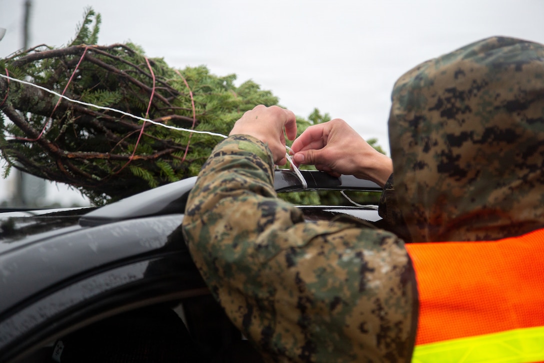 A U.S. Marine ties a Christmas tree to a vehicle during the annual Trees for Troops Christmas tree holiday event at the Paradise Point Golf Course on Marine Corps Base (MCB) Camp Lejeune, North Carolina, Dec. 5, 2025. Trees for Troops is held by the Christmas SPIRIT Foundation and Marine Corps Community Services, providing over 1,100 Christmas trees to Department of War personnel and their families to spread holiday spirit throughout every military family. (U.S. Marine Corps photo by Lance Cpl. Grace Kim)