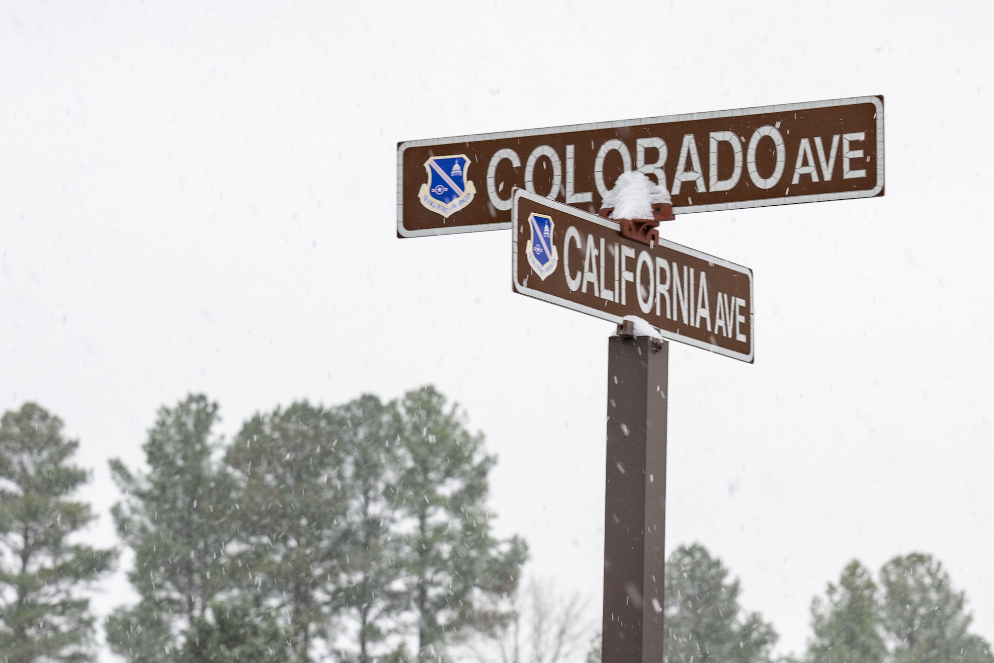 Street signs with snow