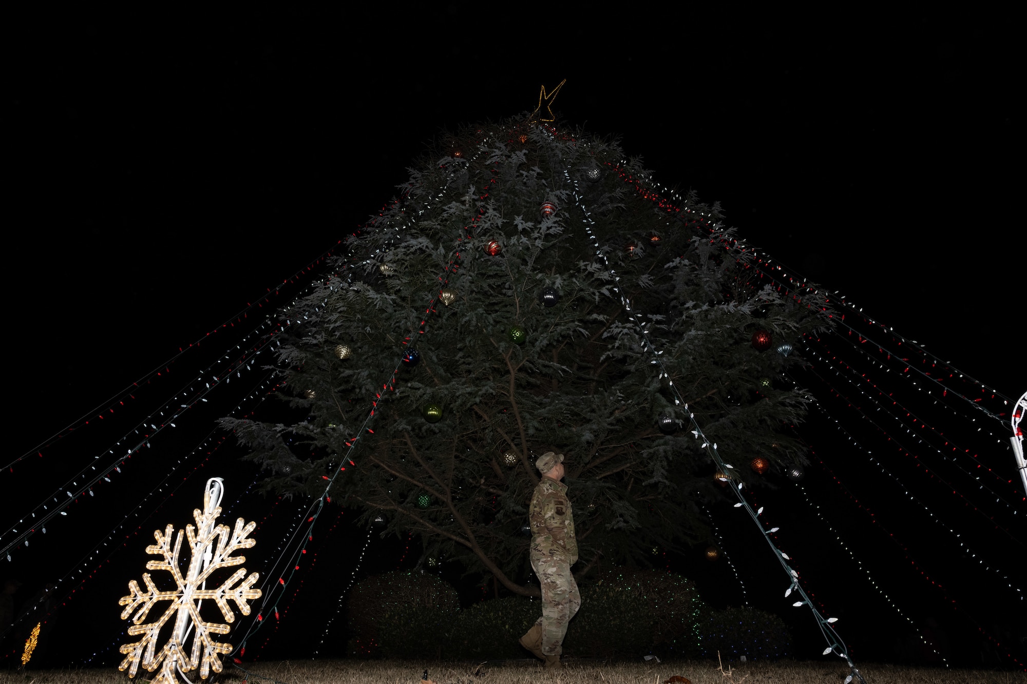 A man stands under a tree covered in string lights.