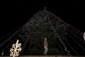 A man stands under a tree covered in string lights.