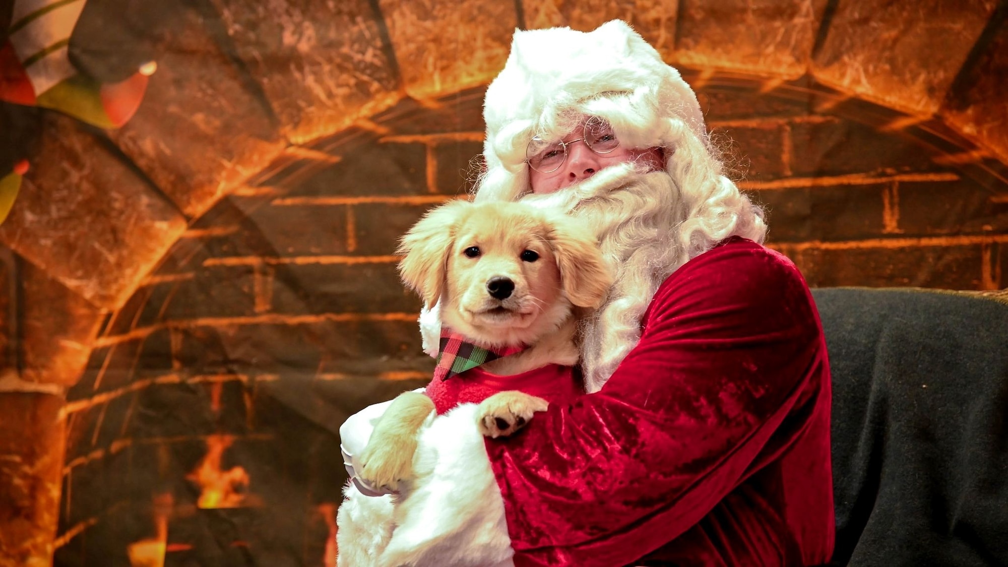 Santa Claus poses for a photo with a puppy during the 2025 Santa Paws event at Misawa Air Base, Japan, Dec. 6, 2025. The event welcomed families from across the Misawa community to celebrate the season with their four-legged friends, highlighting the shared spirit that supports the 35th Fighter Wing’s teamwork and collective strength. (U.S. Air Force photo by Airman 1st Class Jessel Fabara)