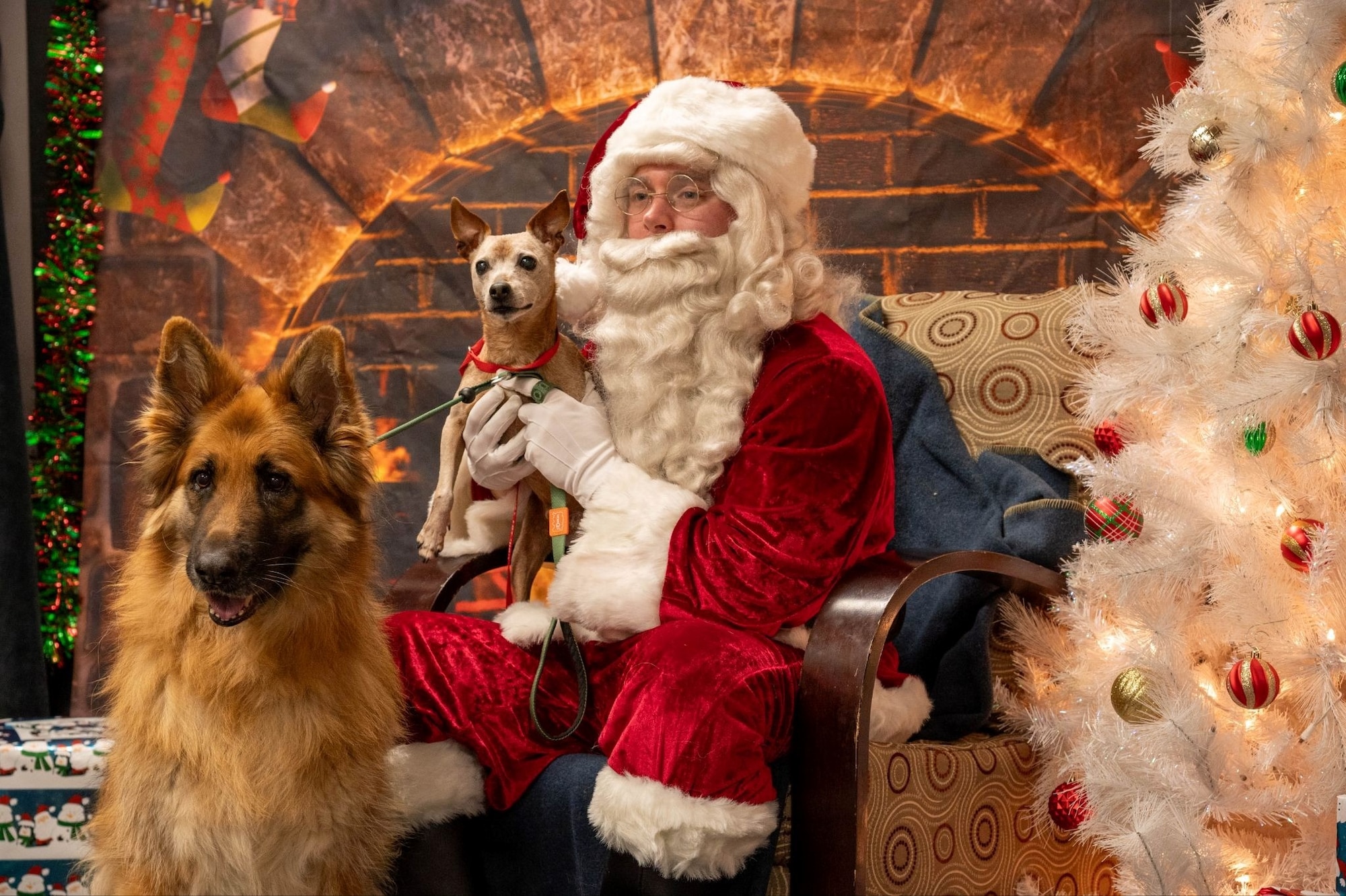 A volunteer dressed as Santa Claus poses for a photo with two dogs during the 2025 Santa Paws event at Misawa Air Base, Japan, Dec. 6, 2025. The event invited the Misawa community to share joyful, pet-friendly holiday memories, strengthening the unity and connection that bolster the 35th Fighter Wing’s readiness and team-focused spirit. (U.S. Air Force photo by Airman 1st Class Jessel Fabara)