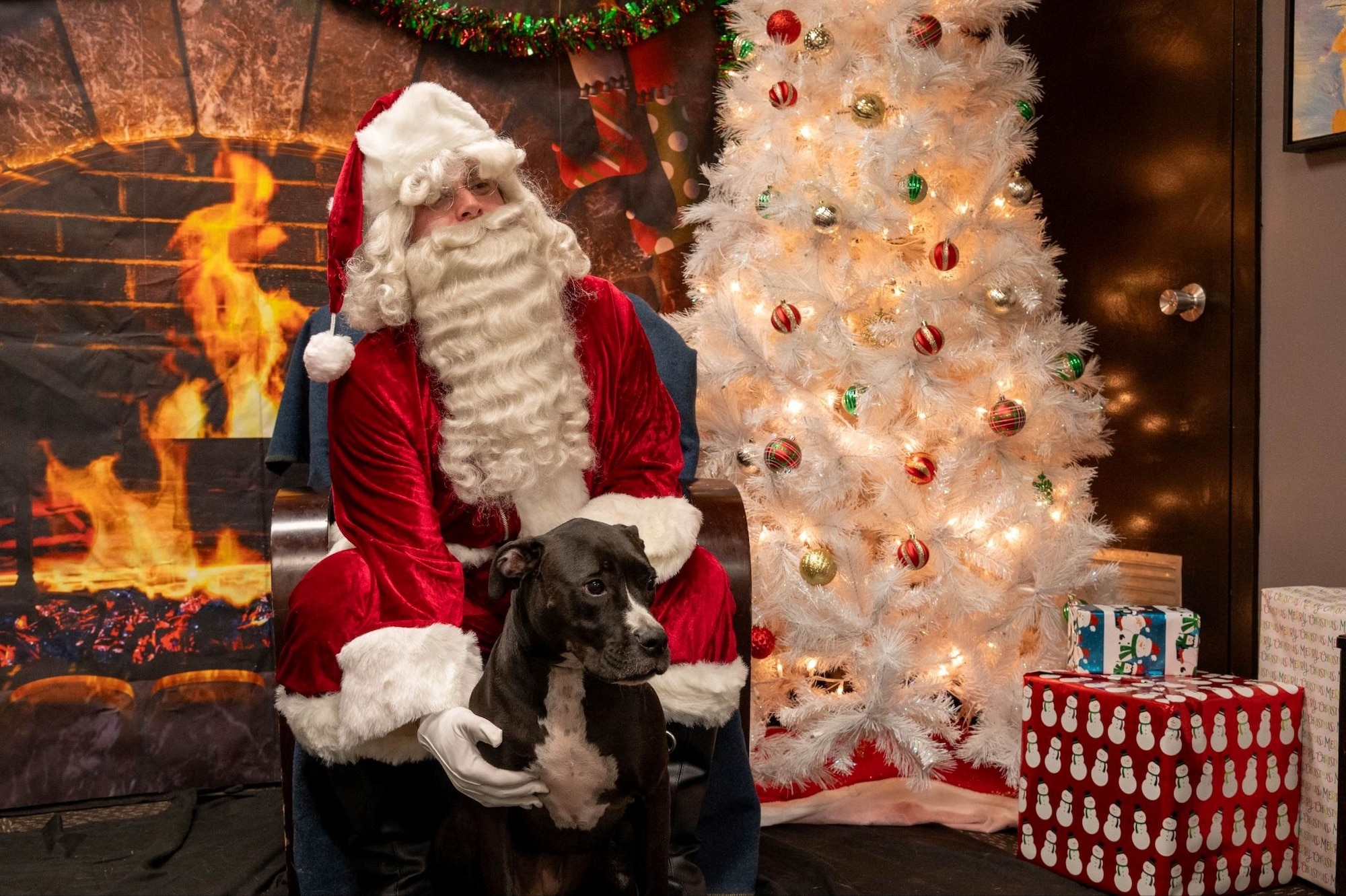 A volunteer dressed Santa Claus poses for a photo with a dog during the 2025 Santa Paws event at Misawa Air Base, Japan, Dec. 6, 2025. The day aimed to bring out Team Misawa’s love for its pets, wrapped in seasonal cheer, reinforcing the community strength that supports the 35th Fighter Wing’s ability to stay connected, resilient and mission-focused. (U.S. Air Force photo by Airman 1st Class Jessel Fabara)