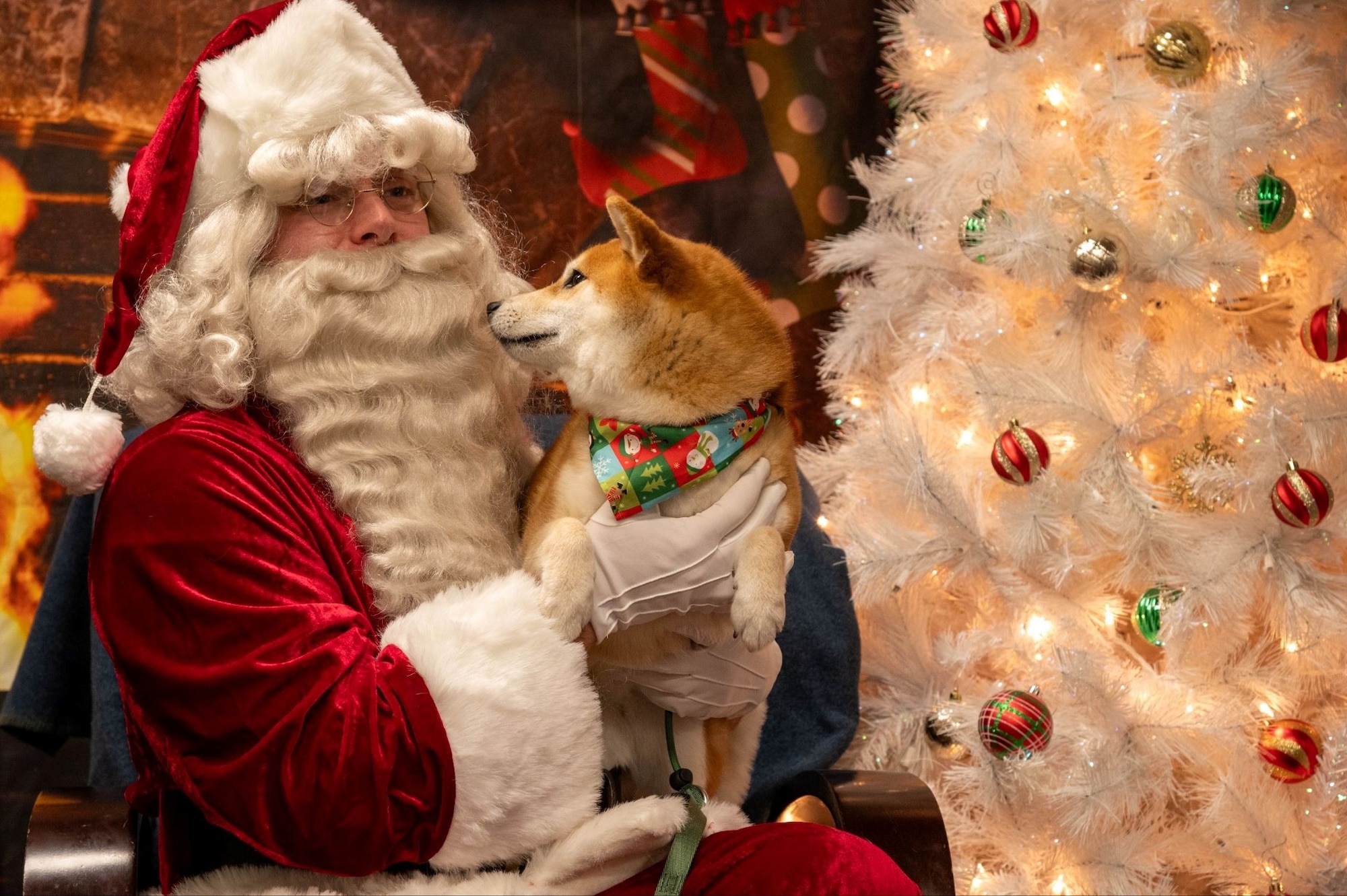 A volunteer dressed Santa Claus poses for a photo holding a dog during the 2025 Santa Paws event at Misawa Air Base, Japan, Dec. 6, 2025. The event displayed the bond between Misawa families and their pets in a warm, festive atmosphere, underscoring the community connection that strengthens the 35th Fighter Wing’s teamwork and unity across the installation. (U.S. Air Force photo by Airman 1st Class Jessel Fabara)