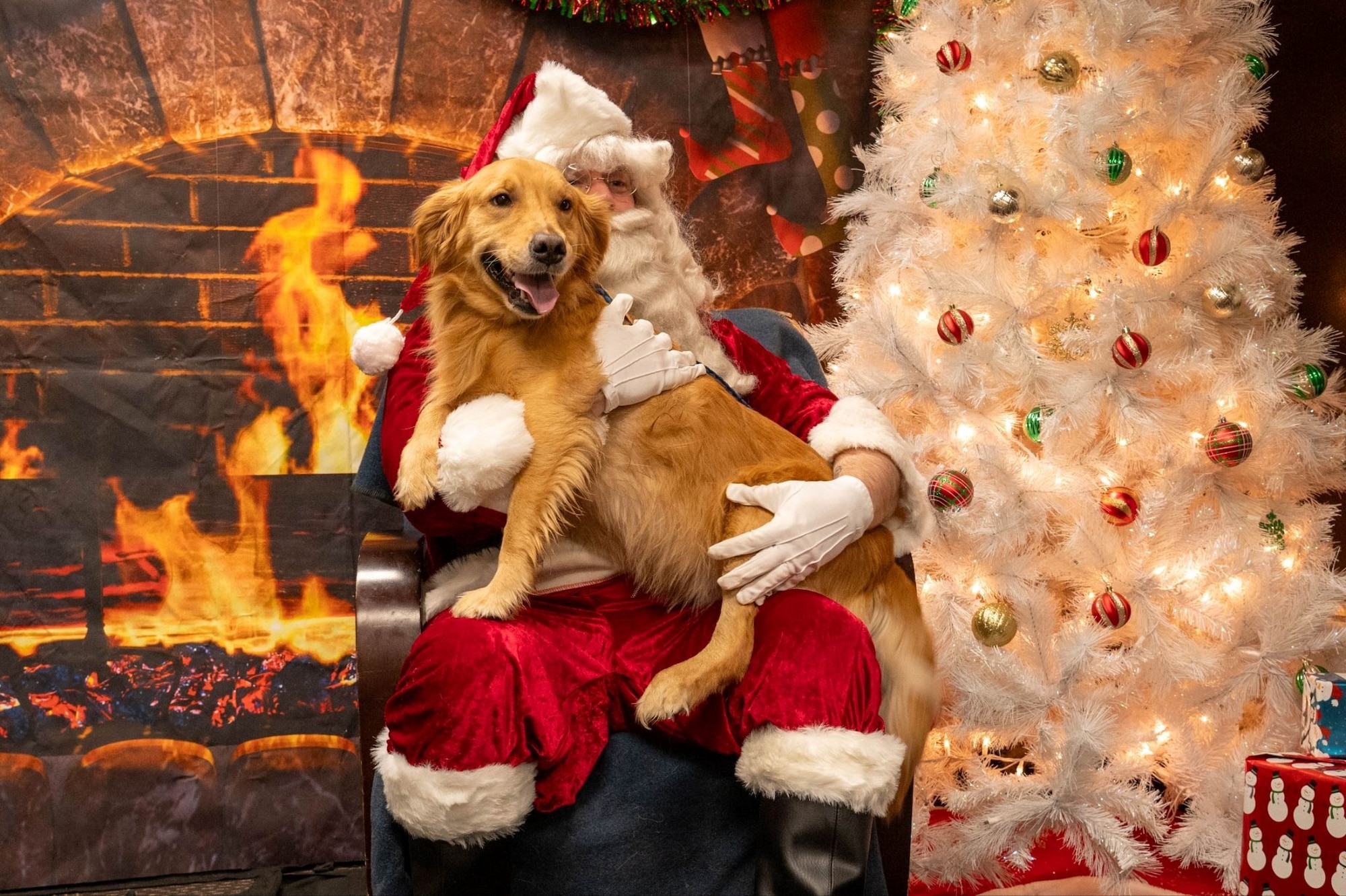 A volunteer dressed Santa Claus poses for a photo with a dog during the 2025 Santa Paws event at Misawa Air Base, Japan, Dec. 6, 2025. The event brought Misawa families and their pets together for a fun holiday tradition, boosting morale and reinforcing the community spirit that strengthens the 35th Fighter Wing’s teamwork and collective drive. (U.S. Air Force photo by Airman 1st Class Jessel Fabara)