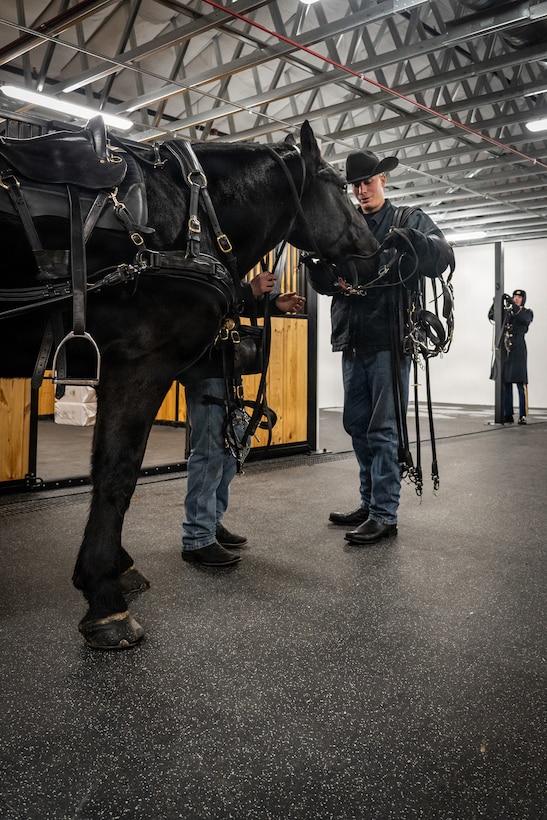 A large black horse stands in the foreground while its handler stands at a distance, wearing a black cowboy hat.