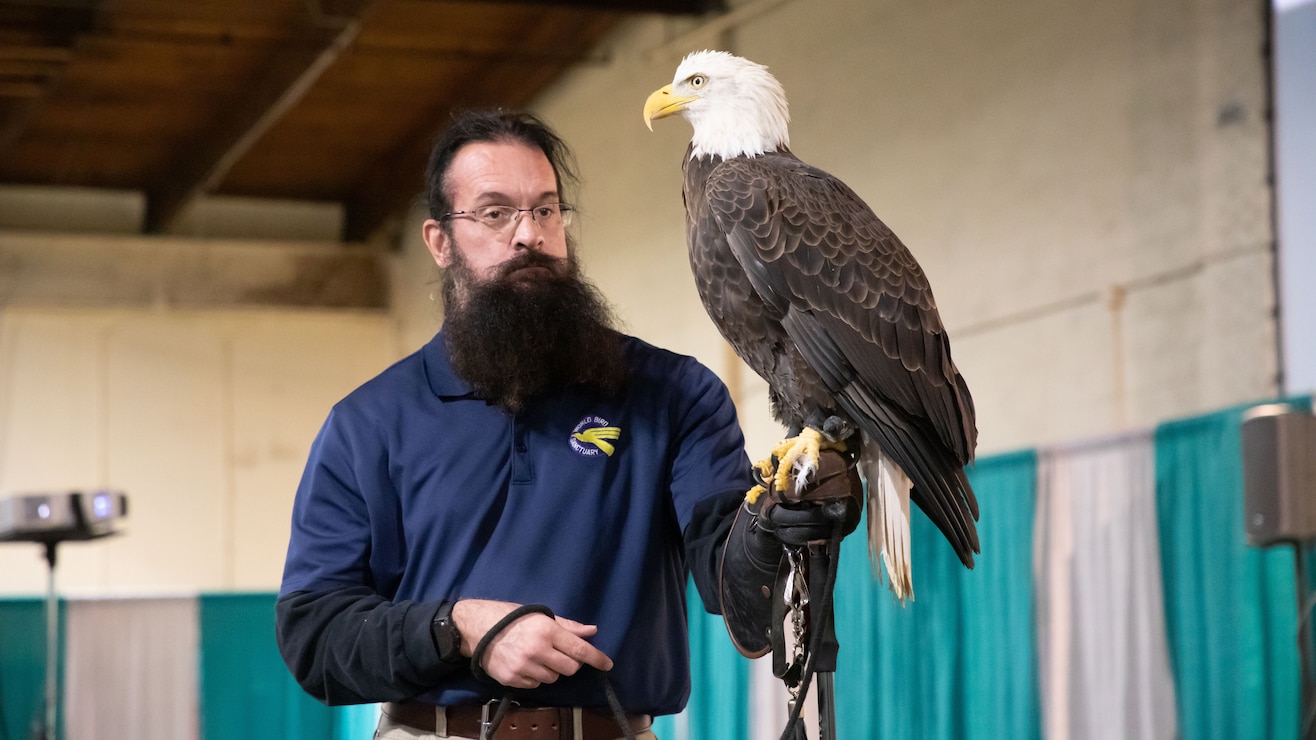 A representative from the World Bird Sanctuary holds a bald eagle on a tall stick during an educational program for students attending the Quad City Bald Eagle Days event.