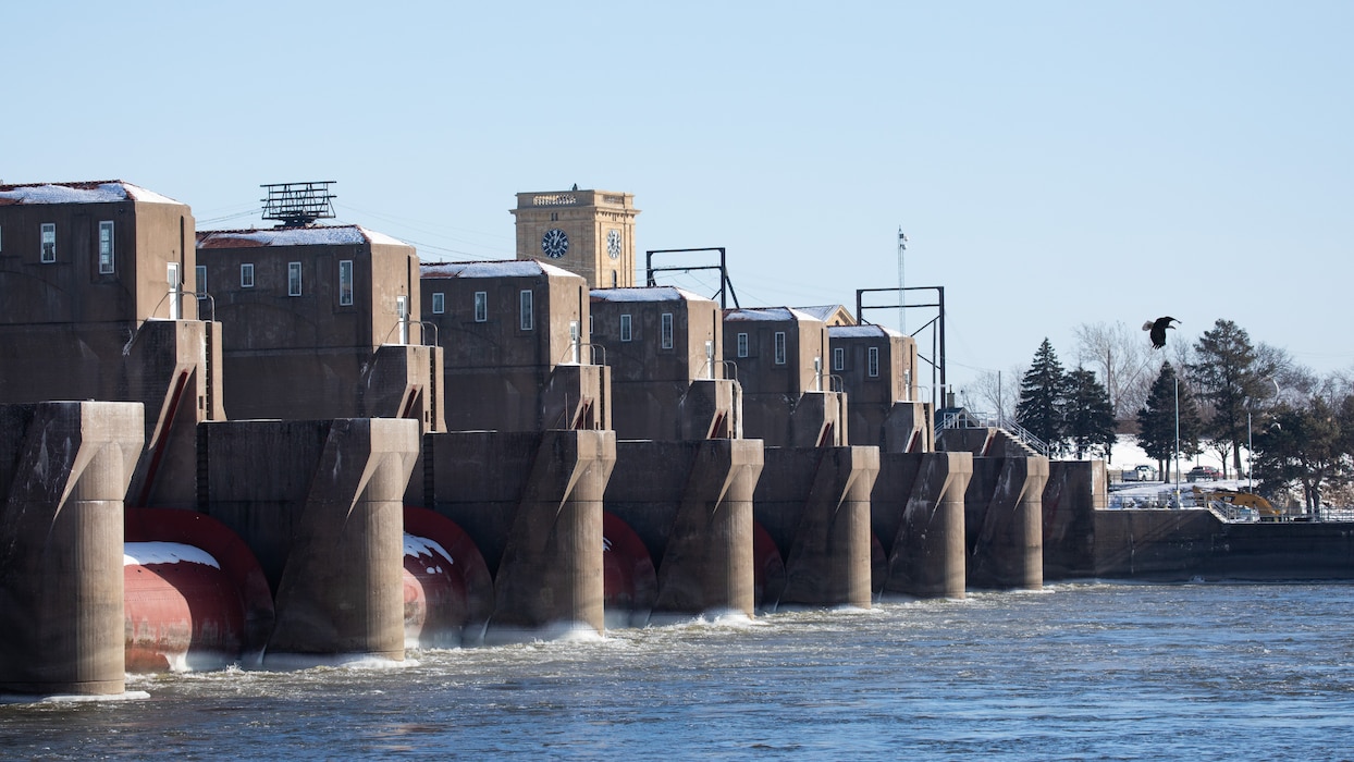 Eagle flying below Locks and Dam 15