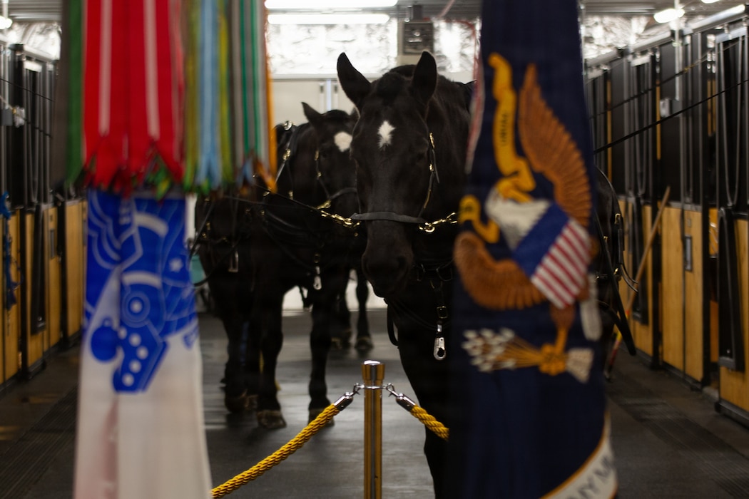Ten-month period from concept to construction completion supports Caisson Detachment's ceremonial operations at Arlington.