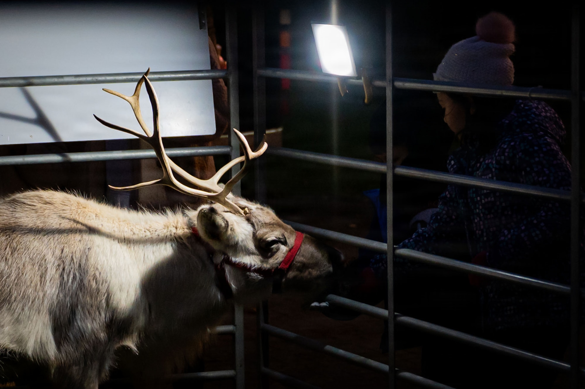 Service members and their families gathered to watch the annual Holiday Tree Lighting Ceremony at RAF Mildenhall, England, Dec. 5, 2025.