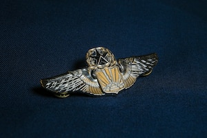 A pair of command pilots sits on a table.