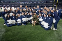 BALTIMORE (Dec. 13, 2025) - Marine Corps Mascot poses with United States Naval Academy cheerleaders during the 126th Army-Navy game at MT&T Stadium in Baltimore, Md., Dec. 13, 2025. (U.S. Navy photo by Mass Communication Specialist 2nd Class Kaitlyn E. Eads)