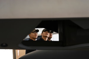 Men stare at a plane.