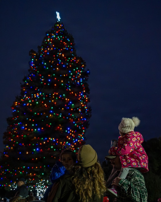 A child sitting on someone's shoulders admires a Christmas Tree