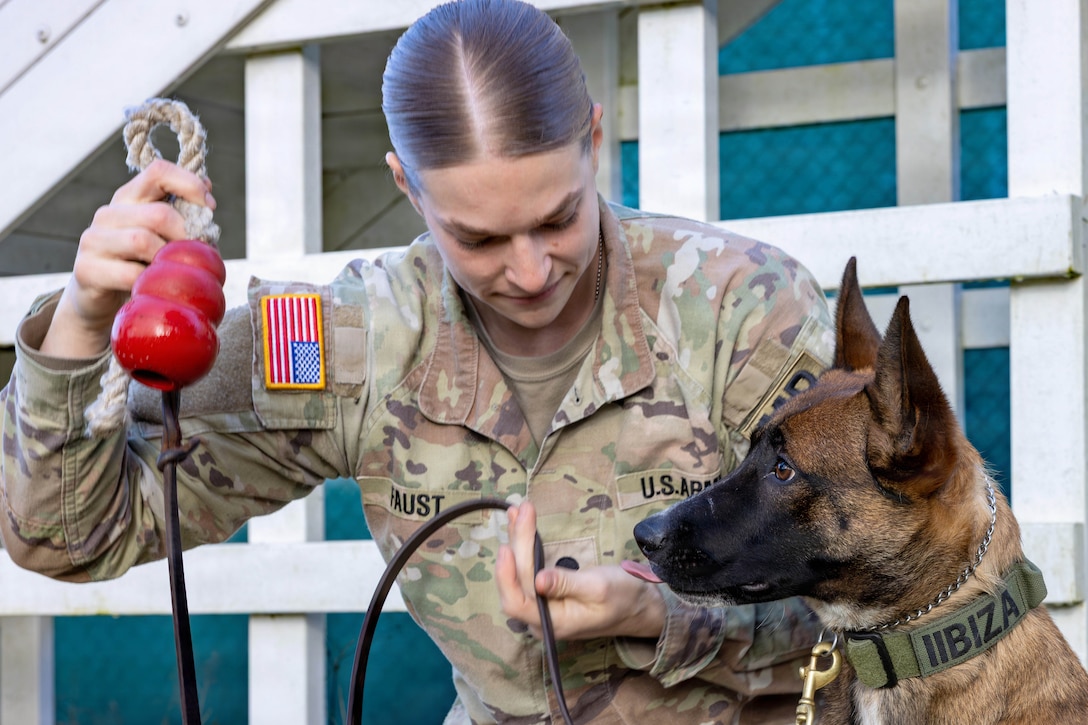 A kneeling soldier holds a red kong as a sitting puppy watches it.