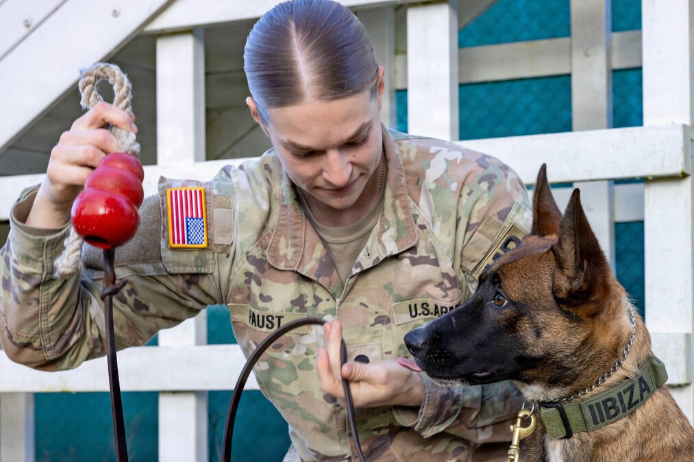 A kneeling soldier holds a red kong as a sitting puppy watches it.
