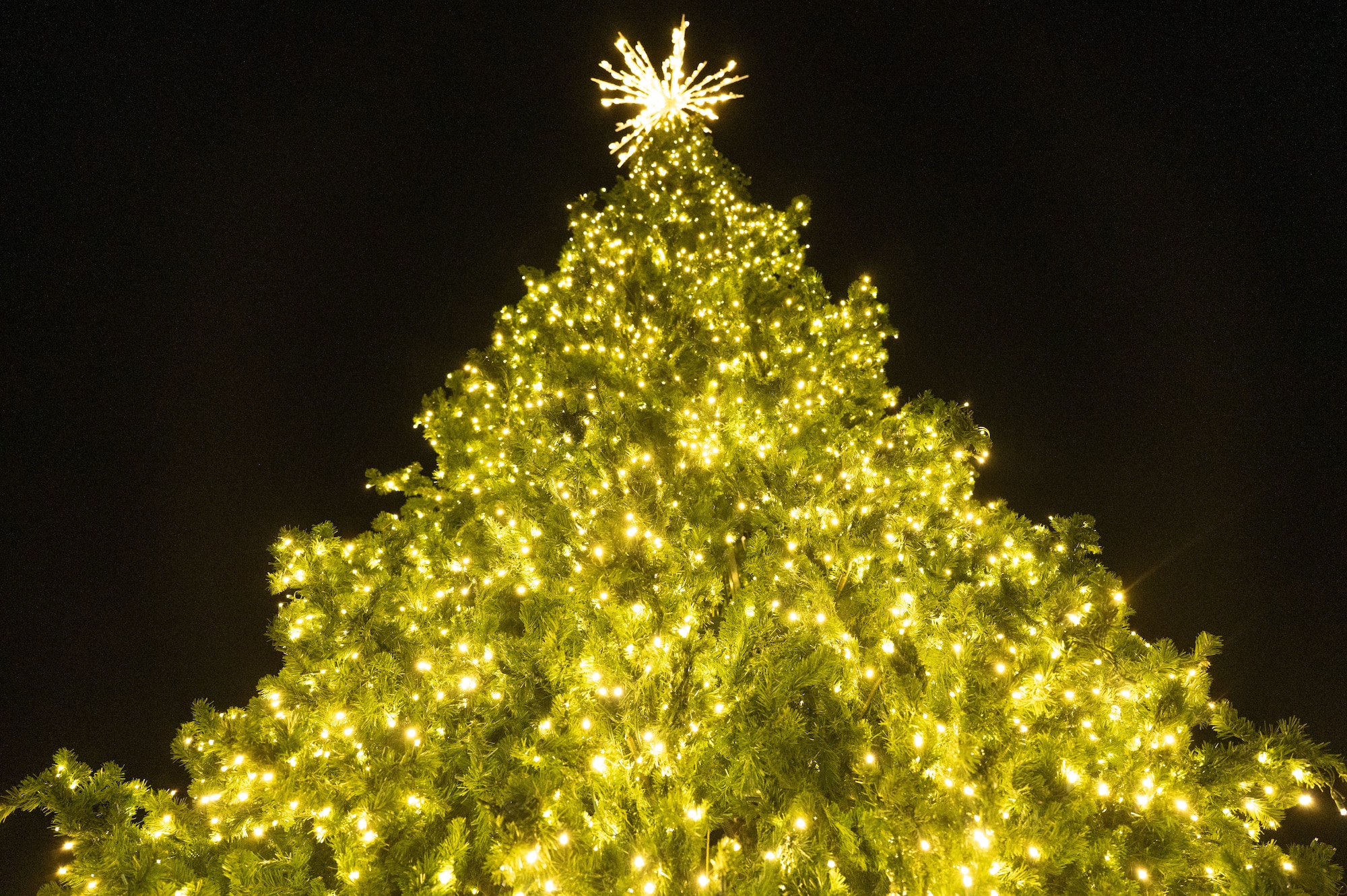 A Christmas tree is illuminated during the 2025 Christmas Tree Lighting at Davis-Monthan Air Force Base, Arizona, Dec. 5, 2025. The tree served as the centerpiece of the base’s holiday celebration. (U.S. Air Force photo by Airman 1st Class Jaden Kidd)