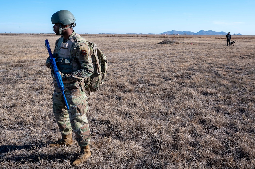 person guards a dog handler