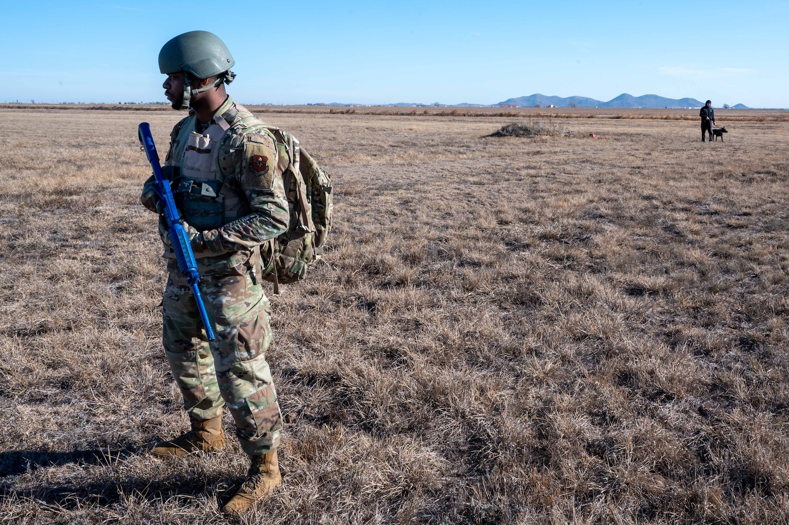 person guards a dog handler