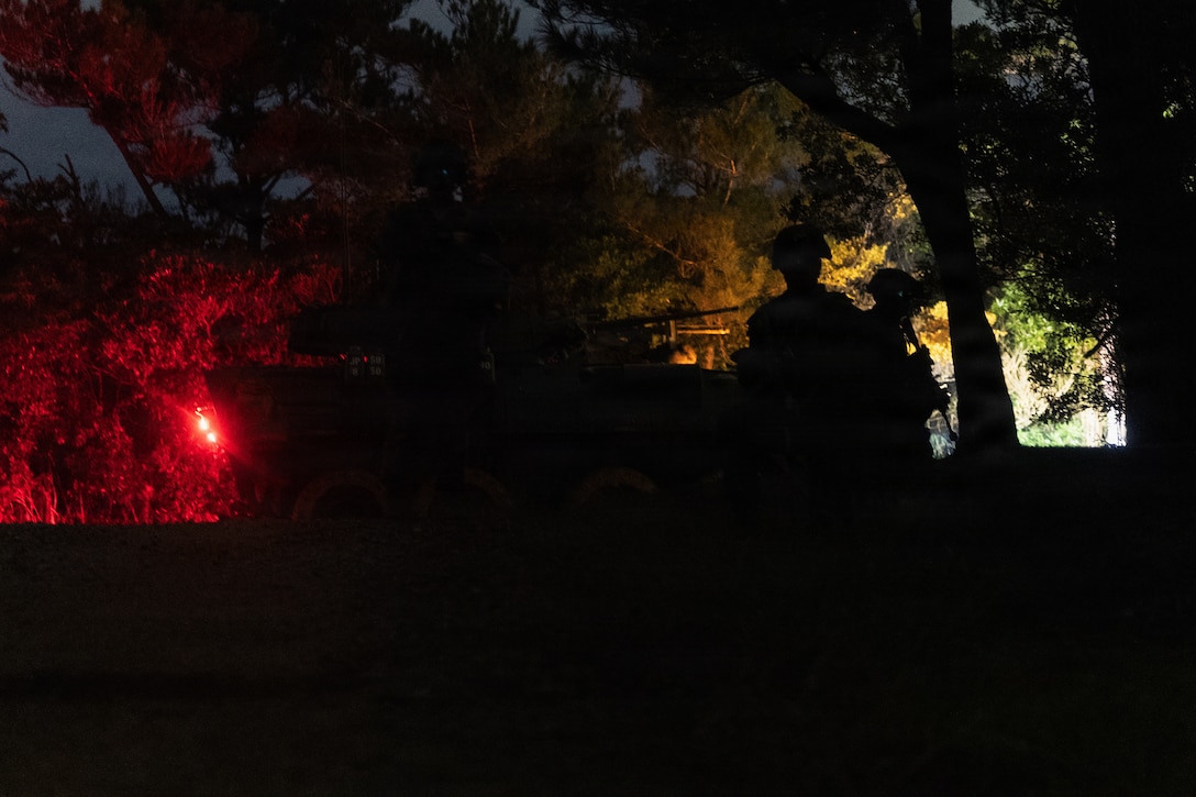 U.S. Marines with Weapons Company, Battalion Landing Team 3rd Battalion, 1st Marine Regiment, 31st Marine Expeditionary Unit, conduct a patrol during a simulated tactical recovery of aircraft personnel exercise as part of MEU Exercise at Camp Schwab, Okinawa, Japan, Dec. 10, 2025. The simulated TRAP exercise showcased advanced trauma life support capabilities and evaluated the platoon’s rapid response and recovery tactics of downed aircraft, personnel and equipment in isolated locations. The 31st MEU, the Marine Corps’ only continuously forward deployed MEU, provides a flexible and lethal force, ready to perform a wide range of military operations as the premiere crisis response force in the Indo-Pacific region. (U.S. Marine Corps photo by Sgt. Alora Finigan)